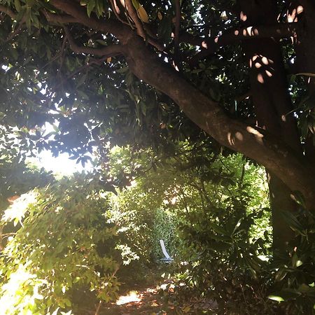 Villa Cardano Maccagno Close To Every Destination Exterior photo